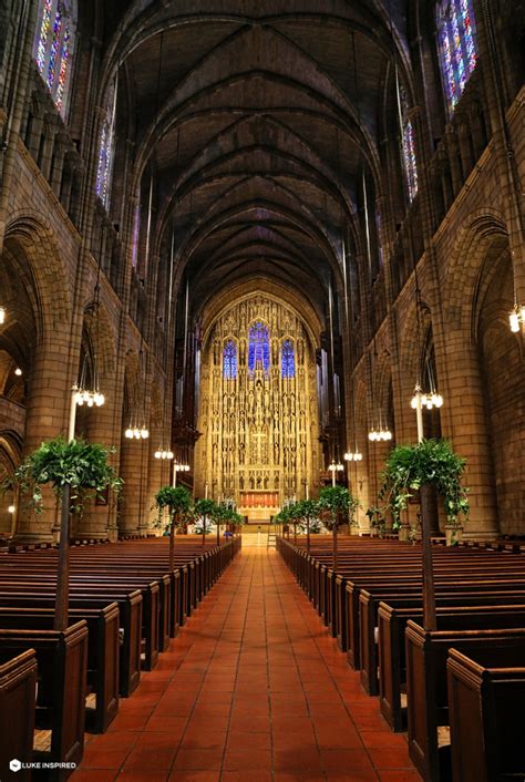 St thomas church fifth avenue - We welcome you to Saint Thomas Church Fifth Avenue, a vibrant, growing parish of the Episcopal Diocese of New York, located in the heart of Midtown Manhattan at Fifth and Fifty-third. Our Mission ...